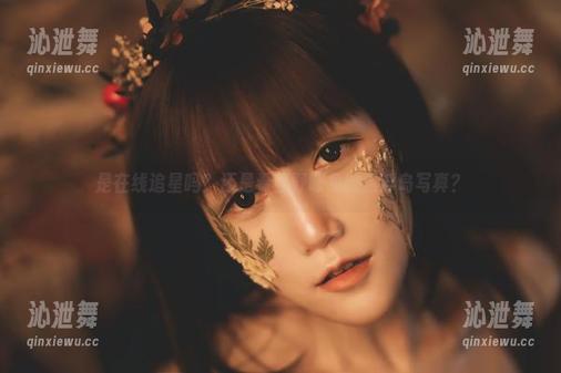 是在线追星吗？还是看星野咪兔的漂浮岛写真？